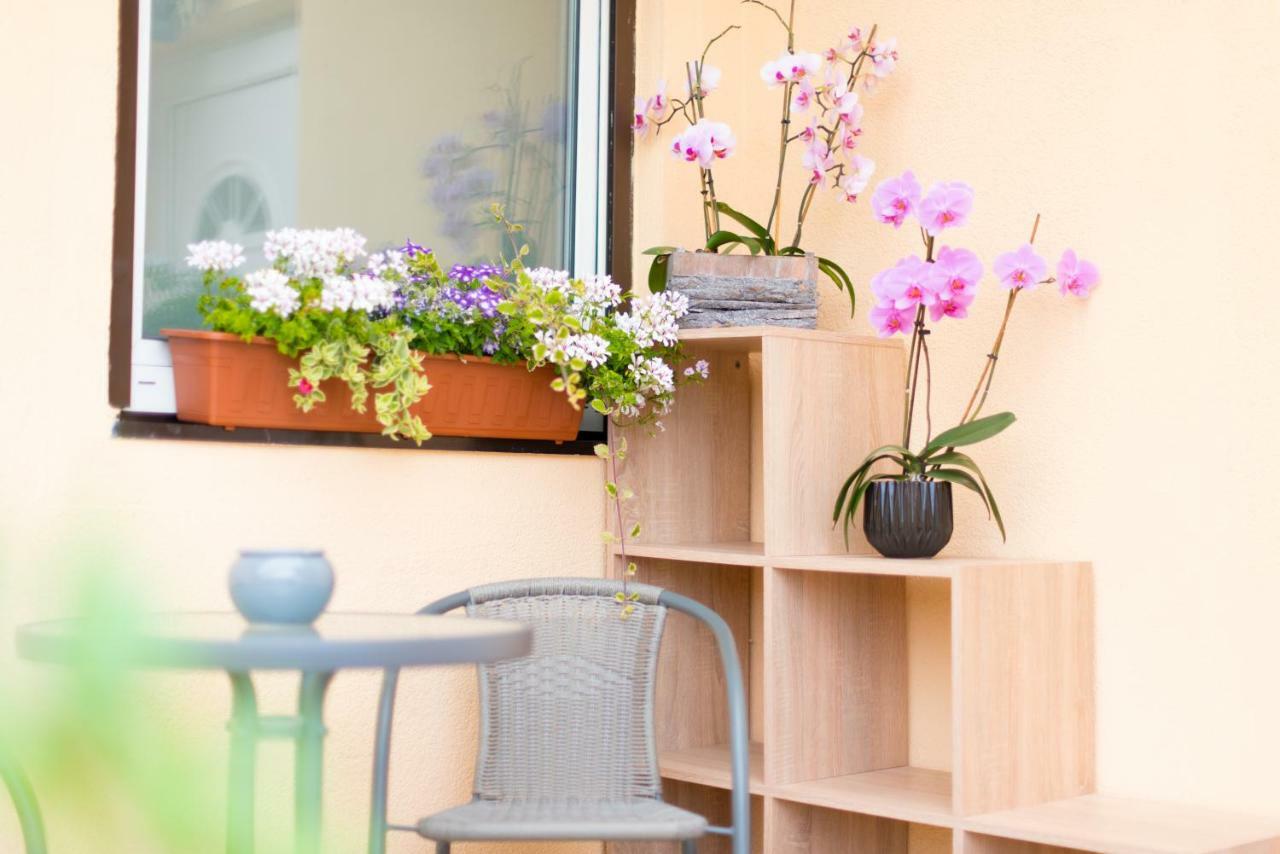 Ferienwohnungen Und Zimmer Yassi Spielberg Bei Knittelfeld Kültér fotó